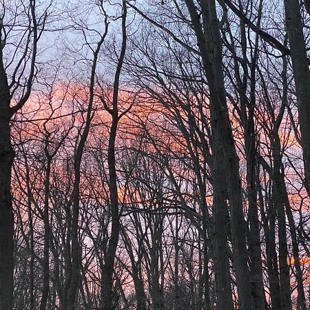 The Sanctuary At Deer Dune , Saugatuck Exterior foto
